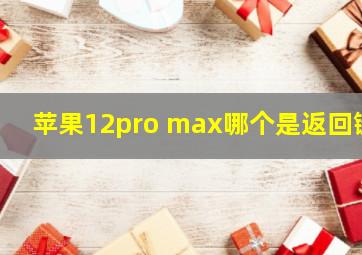 苹果12pro max哪个是返回键